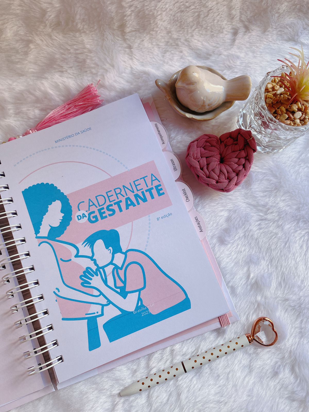Caderneta da Gestante Luxo - Imagem 5
